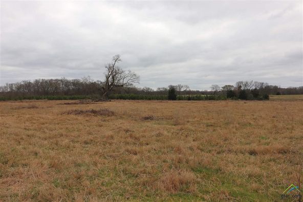 tbd cr 4114: tbd cr 4114, Pittsburg, TX 75686